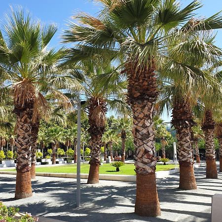 Tenerias 2 Castellon de la Plana Luaran gambar