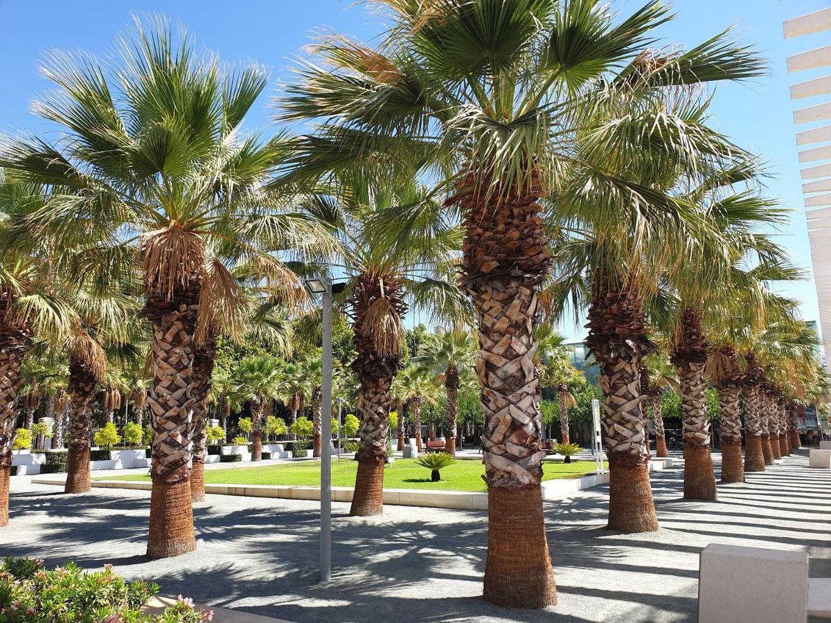 Tenerias 2 Castellon de la Plana Luaran gambar